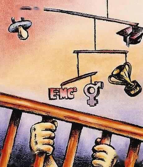 从幼儿到成人变化的视频,成长轨迹的视觉见证