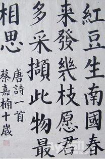 毛笔正楷成人可以学吗视频,成人也能轻松入门的书法艺术之旅