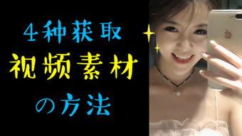 成人年视频素材无水印,无水印背后的故事