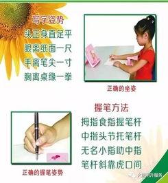 成人如何执笔写字视频,成人写字技巧揭秘