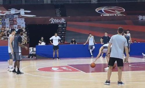 成人趣味投球游戏大全视频,轻松娱乐,锻炼身心