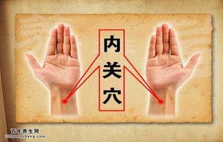 成人脐疝物理治疗视频,视频教程概述