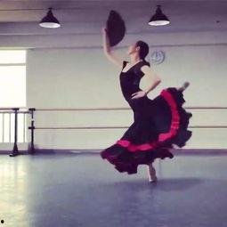 比赛舞蹈成人剧目大全视频,成人舞蹈剧目大全视频赏析