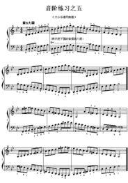 成人钢琴练音阶视频大全,视频大全深度解析