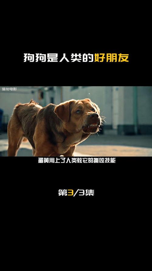 小狗变成人复仇动漫视频