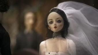 女性成人婚纱视频大全集,女性成人婚纱视频大全集精选回顾
